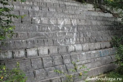 Кар'єр стара лінза, автобродяга (стара) Кар'єр стара лінза, автобродяга