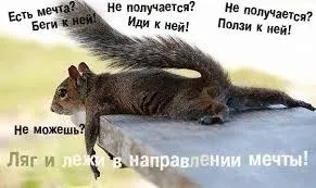 Коли мрії збуваються