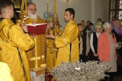 Коли освячують вербу в суботу або в неділю (страви) Коли освячують вербу в суботу або в неділю