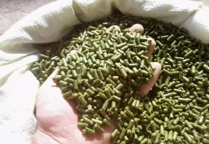 Комбікорм для кроликів склад, правила споживання і як зробити самому (комбікорм) Комбікорм для кроликів склад, правила споживання і як зробити самому