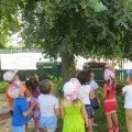 Конспект заняття «спостереження за котом» (ранній розвиток) Конспект заняття «спостереження за котом»