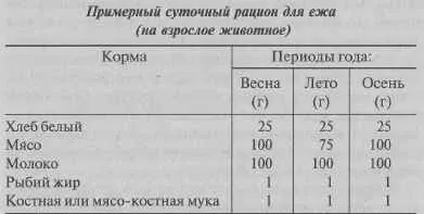 Кормовий раціон і техніка годування їжаків (раціон) Кормовий раціон і техніка годування їжаків