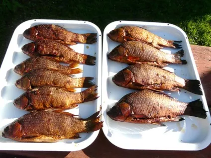 Копчення карася в домашніх умовах (карася) Копчення карася в домашніх умовах