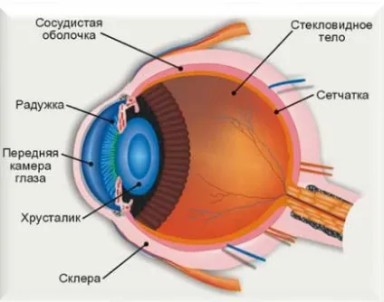 Конкурс - зір або як ми бачимо