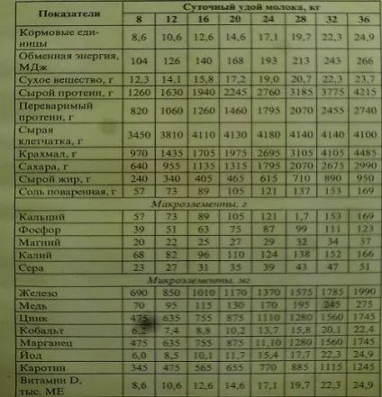 Годування лактуючих корів (годування) Годування лактуючих корів