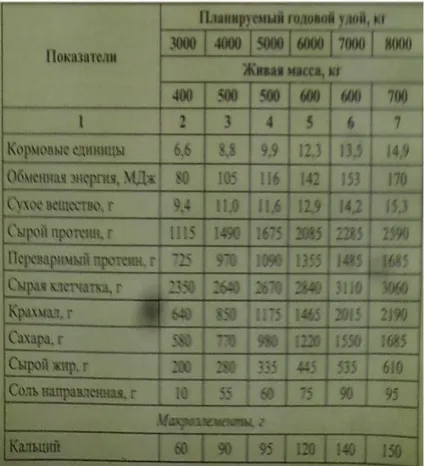 Годування лактуючих корів (корів) Годування лактуючих корів