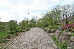 Котка цікаві факти і корисна інформація (інформація) Котка цікаві факти і корисна інформація