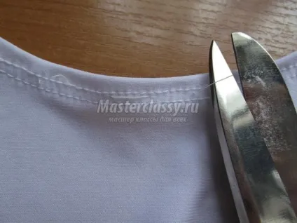 Костюм медузи своїми руками на дівчинку до свята Нептуна (медузи) Костюм медузи своїми руками на дівчинку до свята Нептуна