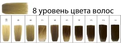 Фарба для волосся - 8 рівень, поради, ваше волосся (волосся) Фарба для волосся - 8 рівень, поради, ваше волосся