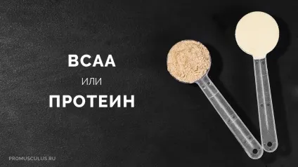Креатин шкода і побічні ефекти (шкода побічні ефекти) Креатин шкода і побічні ефекти