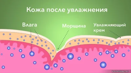 Крем для особи - рекламні обіцянки і реальність (миттєве розгладжування зморшок) Крем для особи - рекламні обіцянки і реальність
