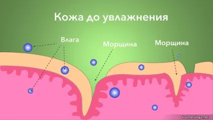Крем для особи - рекламні обіцянки і реальність (легкого зволожуючого крему) Крем для особи - рекламні обіцянки і реальність