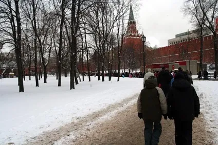 Кремлівська ялинка що надіти, де і як забирати дитину і інші корисності, гніздо оси (діти йдуть одні) Кремлівська ялинка що надіти, де і як забирати дитину і інші корисності, гніздо оси