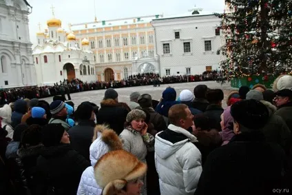 Кремлівська ялинка що надіти, де і як забирати дитину і інші корисності, гніздо оси (ялинка) Кремлівська ялинка що надіти, де і як забирати дитину і інші корисності, гніздо оси