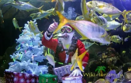 Куди поїхати бюджетно на море на новий рік блоги на (поїхати) Куди поїхати бюджетно на море на новий рік блоги на