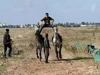 Хто краще для цивілізації - осли або коні 22 квітня 2015 (осли) Хто краще для цивілізації - осли або коні 22 квітня 2015