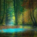 Сонник до чого сниться літак - падаючий, летіти на літаку уві сні (літак) Сонник до чого сниться літак - падаючий, летіти на літаку уві сні