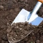 Поради досвідчених садівників (держак) Поради досвідчених садівників