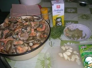 Солоні і мариновані рижики приготування в домашніх умовах, покрокові рецепти з картинками (рижики) Солоні і мариновані рижики приготування в домашніх умовах, покрокові рецепти з картинками