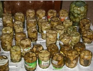 Солоні і мариновані рижики приготування в домашніх умовах, покрокові рецепти з картинками (маринувати рижик покроковий рецепт картинка засолити) Солоні і мариновані рижики приготування в домашніх умовах, покрокові рецепти з картинками
