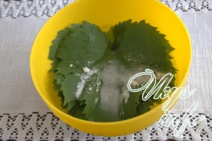 Солоні виноградне листя на зиму - рецепт з фото (листя) Солоні виноградне листя на зиму - рецепт з фото