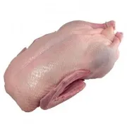 Куряче філе варене БЖУ (вміст білків, жирів, вуглеводів), калорійність, поживна цінність