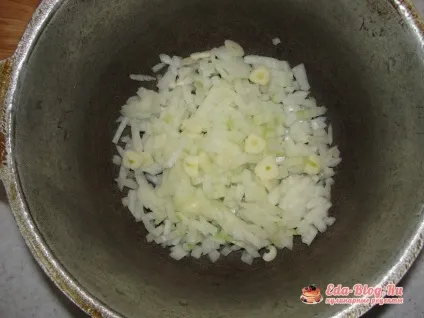 Курка тушкована з цибулею рецепт з фото крок за кроком (курка) Курка тушкована з цибулею рецепт з фото крок за кроком