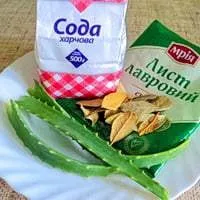 Лікування екземи народними способами (способами) Лікування екземи народними способами