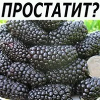 Лікування фімозу без операції, в домашніх умовах, кортикостероїдними мазями, кремами (фімозу) Лікування фімозу без операції, в домашніх умовах, кортикостероїдними мазями, кремами