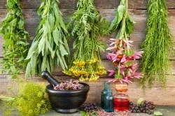 Лікування лікування алкоголізму народними засобами