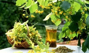 Лікування народними засобами ревматоїдного артриту - вплив лікарських зборів, старінниерецепти (лікування) Лікування народними засобами ревматоїдного артриту - вплив лікарських зборів, старінниерецепти