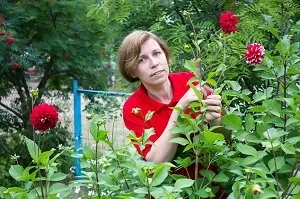 Ландшафтний дизайн з присвоєнням кваліфікації «дизайнер ландшафтного проектування» (1340ч) (привласненням) Ландшафтний дизайн з присвоєнням кваліфікації «дизайнер ландшафтного проектування» (1340ч)