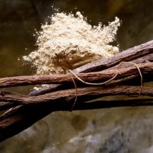 Лакрица користь і шкода рослини, food and health (лакрица) Лакрица користь і шкода рослини, food and health