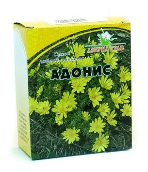 Лікувальні властивості і протипоказання горицвіту (лікувальні) Лікувальні властивості і протипоказання горицвіту