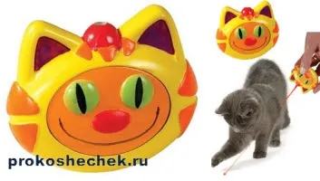 Лазерна указка - весела, але небезпечна іграшка для кішки (лазер) Лазерна указка - весела, але небезпечна іграшка для кішки