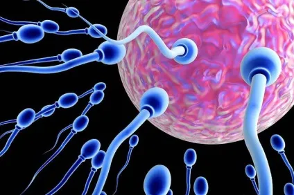 Лікування швидкого сім'явиверження (лікувати швидке сім'явиверження) Лікування швидкого сім'явиверження