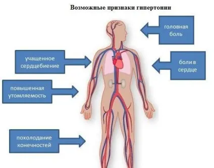 Лікування гіпертонії народними засобами в домашніх умовах (народними) Лікування гіпертонії народними засобами в домашніх умовах