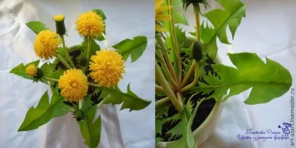 Ліпимо лист кульбаби з холодного фарфору - ярмарок майстрів - ручна робота, handmade (ліпимо лист кульбаби з холодного фарфору) Ліпимо лист кульбаби з холодного фарфору - ярмарок майстрів - ручна робота, handmade