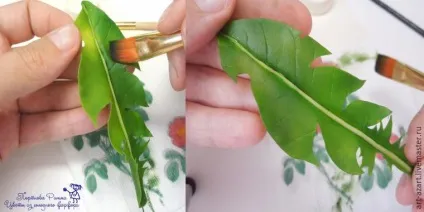 Ліпимо лист кульбаби з холодного фарфору - ярмарок майстрів - ручна робота, handmade (латексний клей) Ліпимо лист кульбаби з холодного фарфору - ярмарок майстрів - ручна робота, handmade
