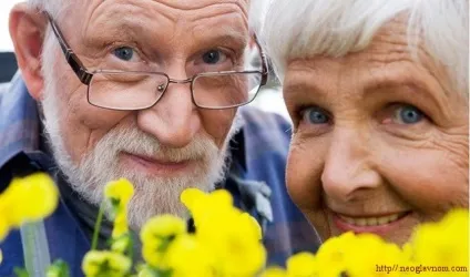 Лікування старечого склерозу народними засобами, здорове життя (лікування) Лікування старечого склерозу народними засобами, здорове життя