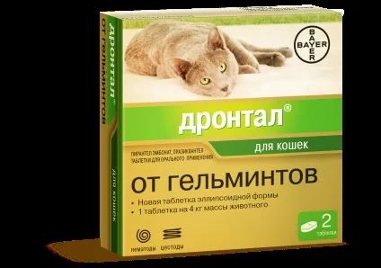 Стрічкові глисти у кішок