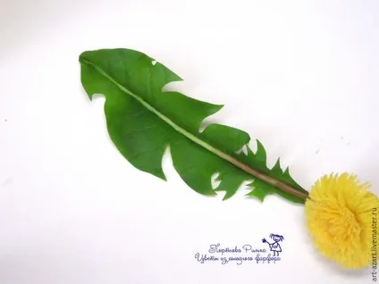 Ліпимо лист кульбаби з холодного фарфору - ярмарок майстрів - ручна робота, handmade (холодний фарфор) Ліпимо лист кульбаби з холодного фарфору - ярмарок майстрів - ручна робота, handmade