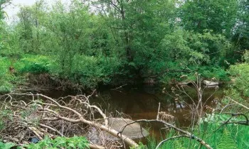 Ловля спінінгом на малих річках