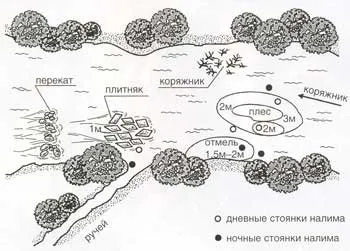 Ловля миня все про лов миня від снасті до наживки (ловлі) Ловля миня все про лов миня від снасті до наживки