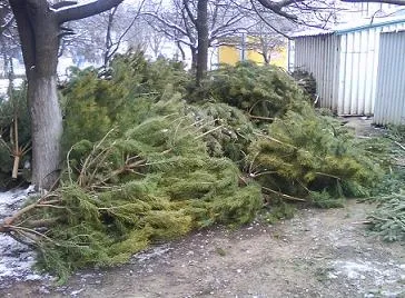 Лка, що ми про неї знаємо, блог про дім і сім'ю (блог) Лка, що ми про неї знаємо, блог про дім і сім'ю