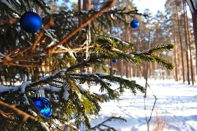 Лка, що ми про неї знаємо, блог про дім і сім'ю (сім'ї) Лка, що ми про неї знаємо, блог про дім і сім'ю