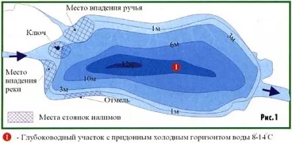 Ловля миня все про лов миня від снасті до наживки (ловлі) Ловля миня все про лов миня від снасті до наживки