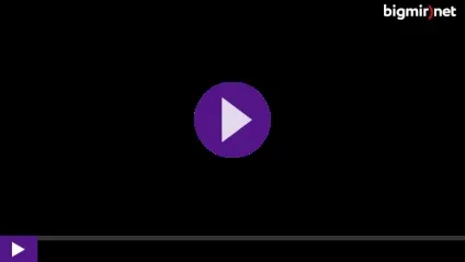 Пастка для котів своїми руками (коти пастки) Пастка для котів своїми руками