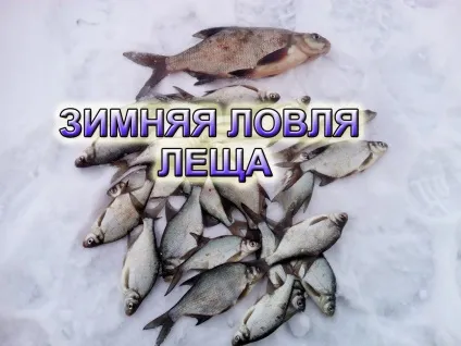 Ловля коропа російська рибалка 3 на сайті (російська) Ловля коропа російська рибалка 3 на сайті