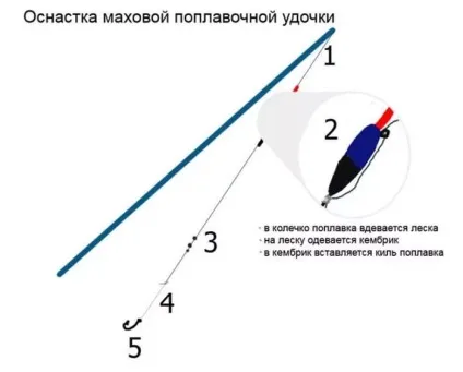 Ловля коропа на поплавкову вудку - відео, 4 види снастей, насадки і приманки (вудку) Ловля коропа на поплавкову вудку - відео, 4 види снастей, насадки і приманки